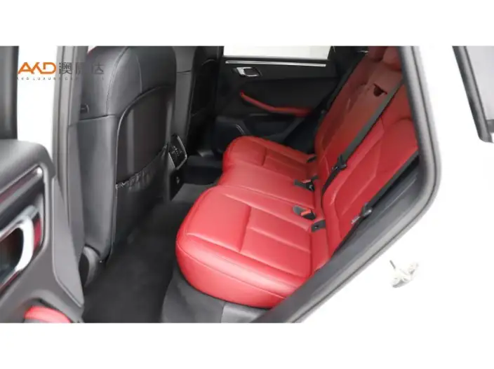 Macan 2025 Model Macan 2.0T Dream Edition – фото 8
