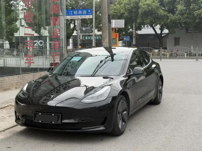 Model 3 2022 Model Rear-wheel drive version – фото 1