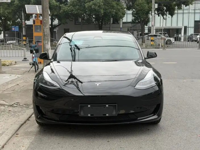 Model 3 2022 Model Rear-wheel drive version – фото 2