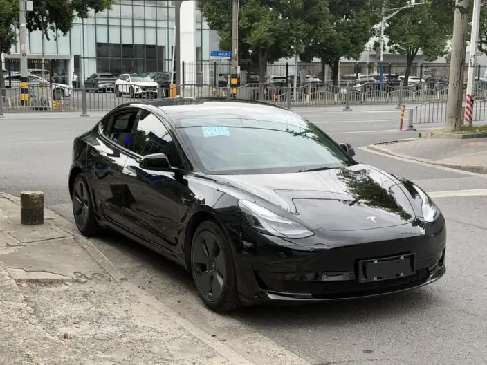 Model 3 2022 Model Rear-wheel drive version – фото 3