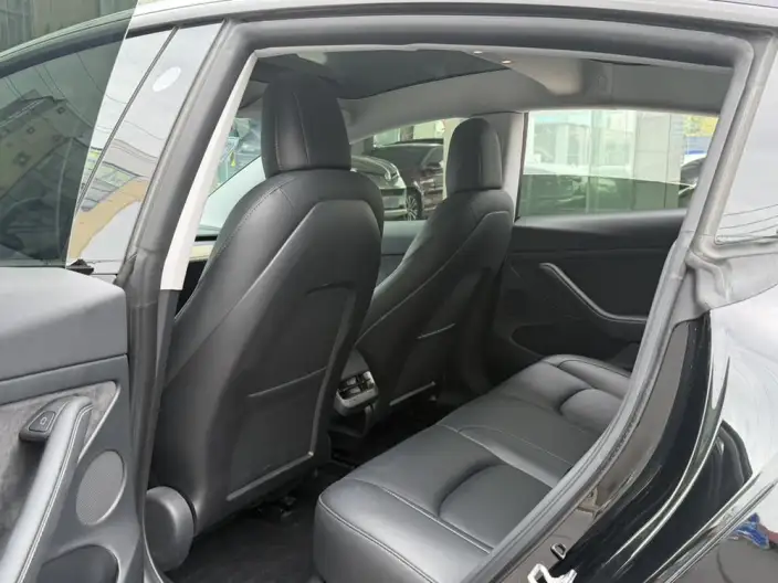 Model 3 2022 Model Rear-wheel drive version – фото 9
