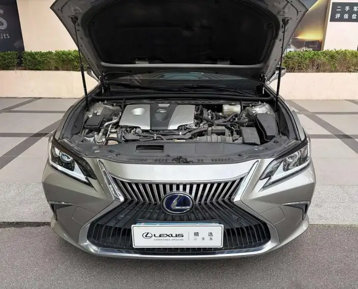 Lexus ES 2020 Model 300h Superior Edition China VI – фото 5