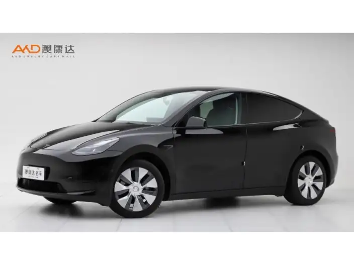 Model Y 2023 Model Rear-wheel drive version – фото 1