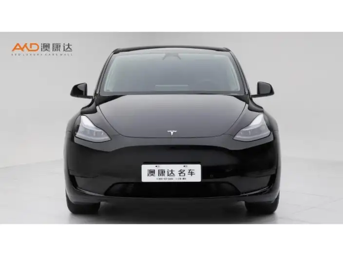 Model Y 2023 Model Rear-wheel drive version – фото 2