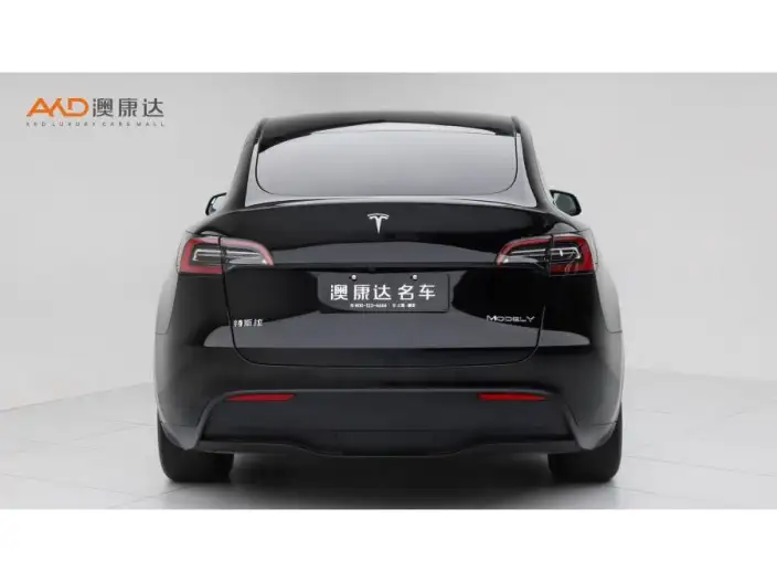 Model Y 2023 Model Rear-wheel drive version – фото 3
