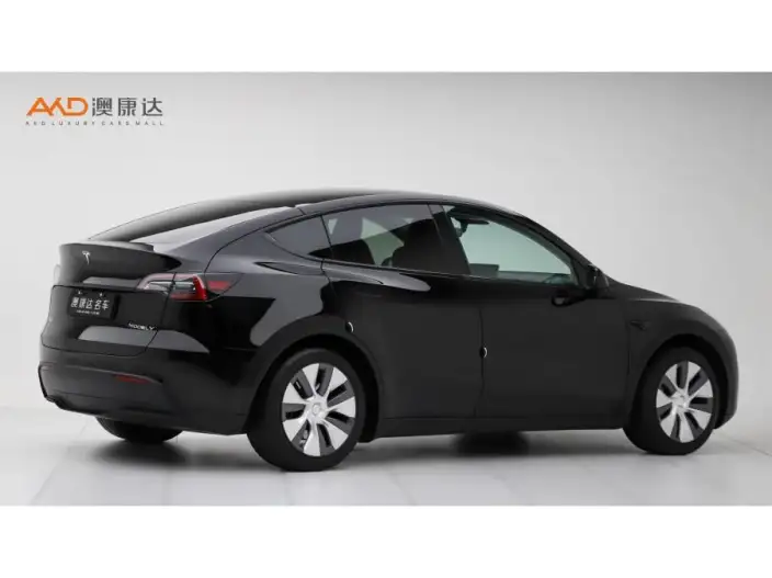 Model Y 2023 Model Rear-wheel drive version – фото 4