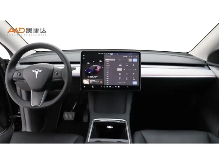 Model Y 2023 Model Rear-wheel drive version – фото 6