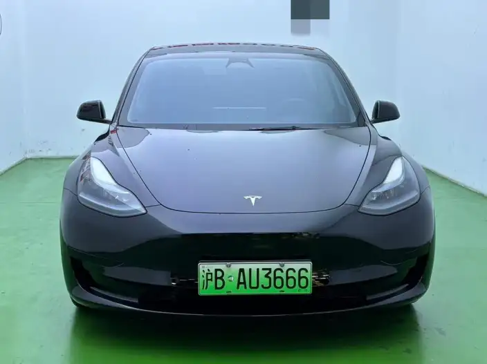 Model 3 2022 Model Rear-wheel drive version – фото 2