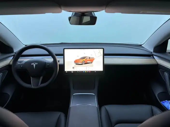 Model 3 2022 Model Rear-wheel drive version – фото 7