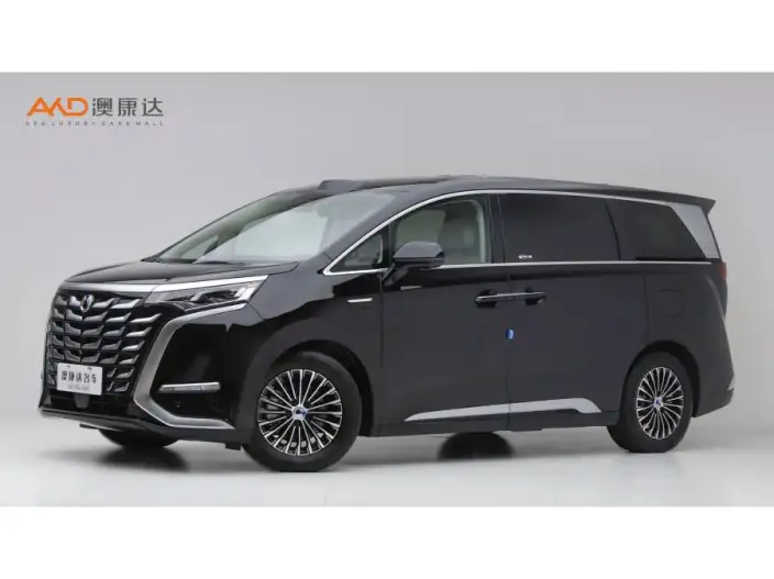 DENZA D9 DM 2025 Model Smart Driving Edition 1020 4WD Exclusive Model – фото 1
