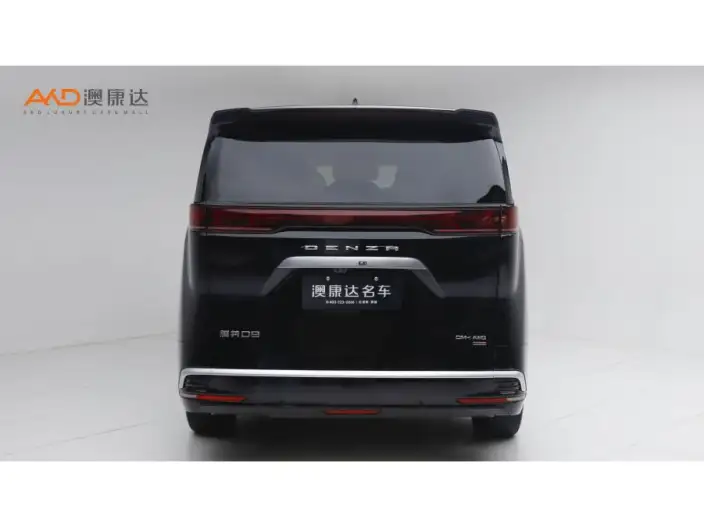 DENZA D9 DM 2025 Model Smart Driving Edition 1020 4WD Exclusive Model – фото 3