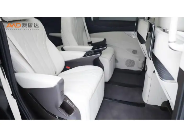 DENZA D9 DM 2025 Model Smart Driving Edition 1020 4WD Exclusive Model – фото 5