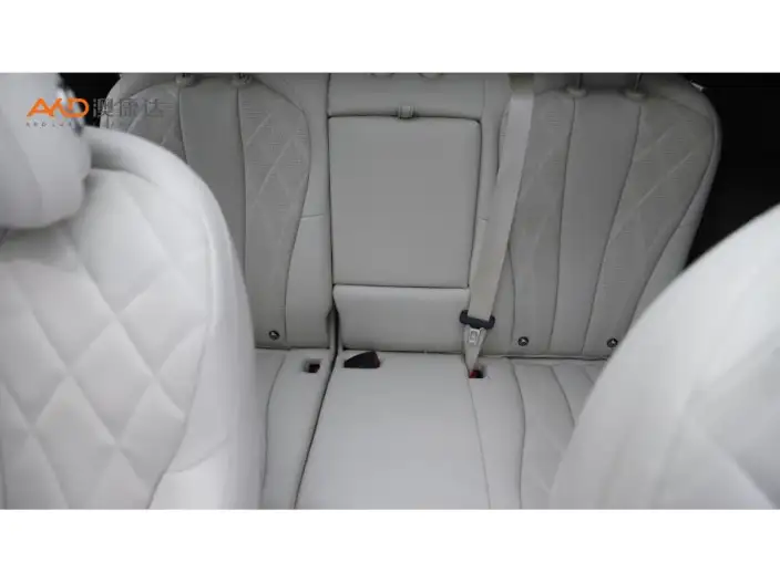 DENZA D9 DM 2025 Model Smart Driving Edition 1020 4WD Exclusive Model – фото 6
