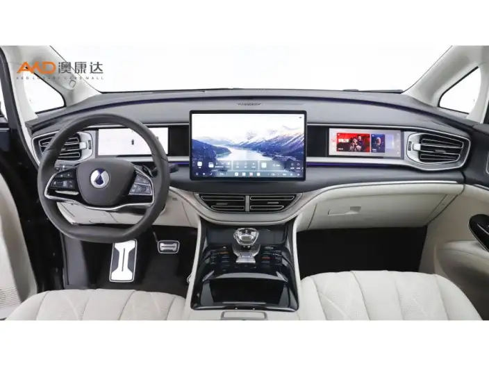 DENZA D9 DM 2025 Model Smart Driving Edition 1020 4WD Exclusive Model – фото 7