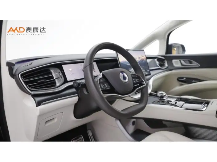 DENZA D9 DM 2025 Model Smart Driving Edition 1020 4WD Exclusive Model – фото 8