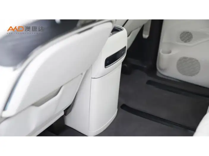 DENZA D9 DM 2025 Model Smart Driving Edition 1020 4WD Exclusive Model – фото 9