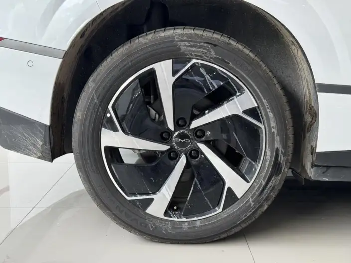 Sea Lion 06DM 2025 Model DM-i 205KM Pilot Plus Edition – фото 9