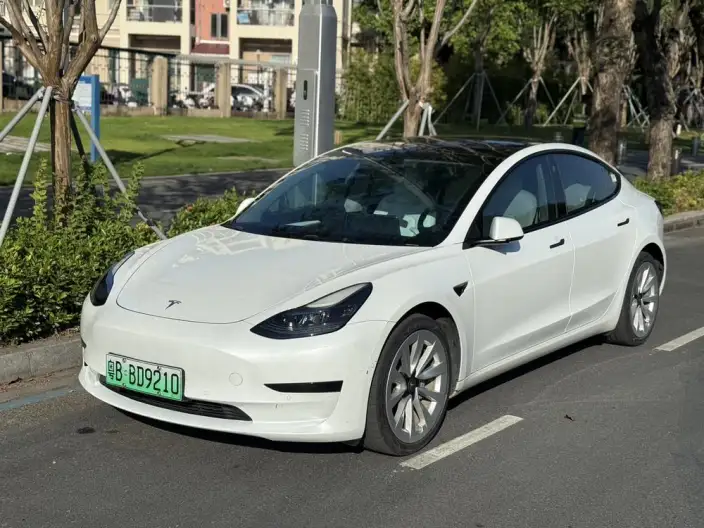 Model 3 2022 Model Rear-wheel drive version – фото 1