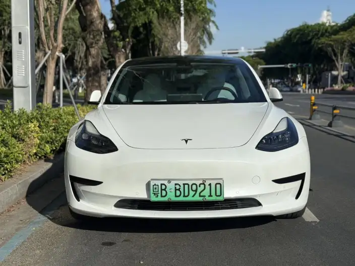 Model 3 2022 Model Rear-wheel drive version – фото 2