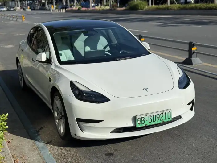 Model 3 2022 Model Rear-wheel drive version – фото 3