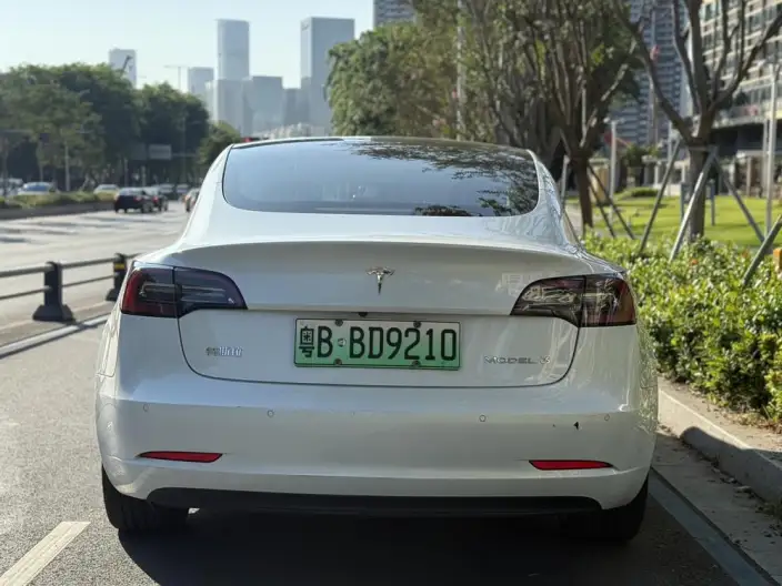 Model 3 2022 Model Rear-wheel drive version – фото 5