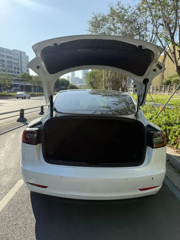 Model 3 2022 Model Rear-wheel drive version – фото 9