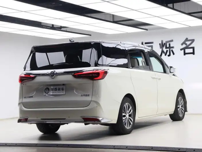 Buick GL8 2020 Model ES Luzun 653T Comfort Model – фото 6