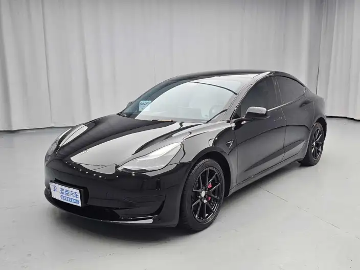Model 3 2022 Model Rear-wheel drive version – фото 1