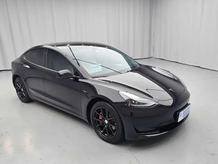 Model 3 2022 Model Rear-wheel drive version – фото 3