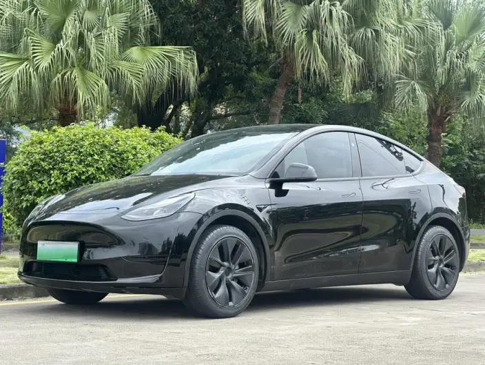 Model Y 2024 Model Rear-wheel drive version – фото 1
