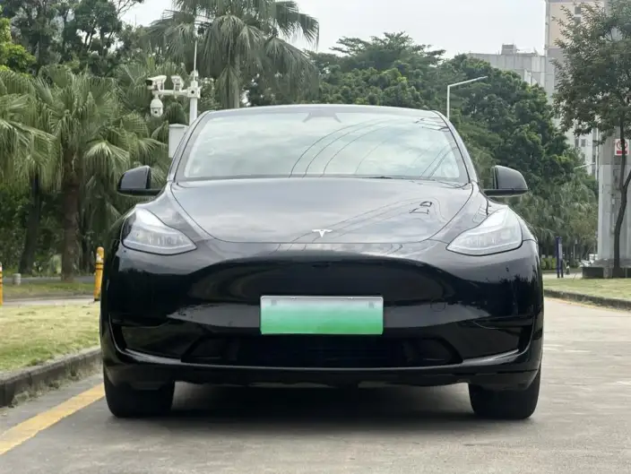 Model Y 2024 Model Rear-wheel drive version – фото 2