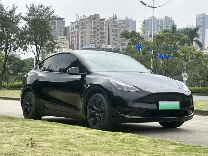 Model Y 2024 Model Rear-wheel drive version – фото 3