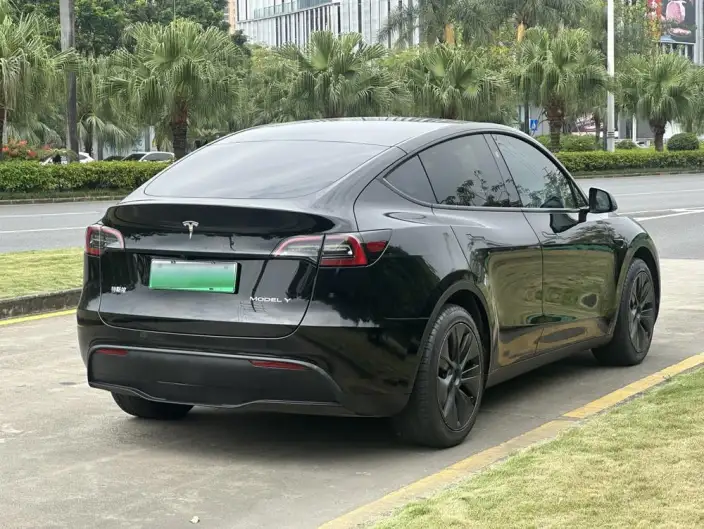 Model Y 2024 Model Rear-wheel drive version – фото 6