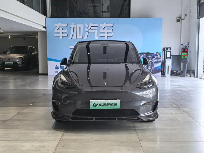 Model Y 2022 Model Facelift Long Battery Life Pro All-wheel drive version – фото 2
