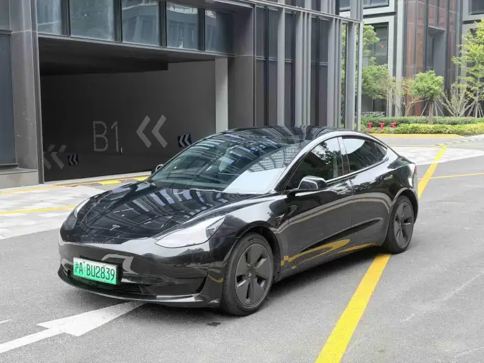 Model 3 2022 Model Rear-wheel drive version – фото 1