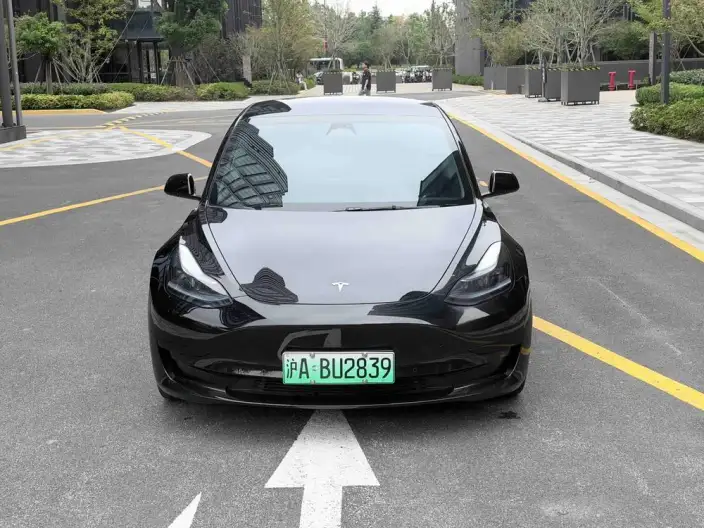 Model 3 2022 Model Rear-wheel drive version – фото 2