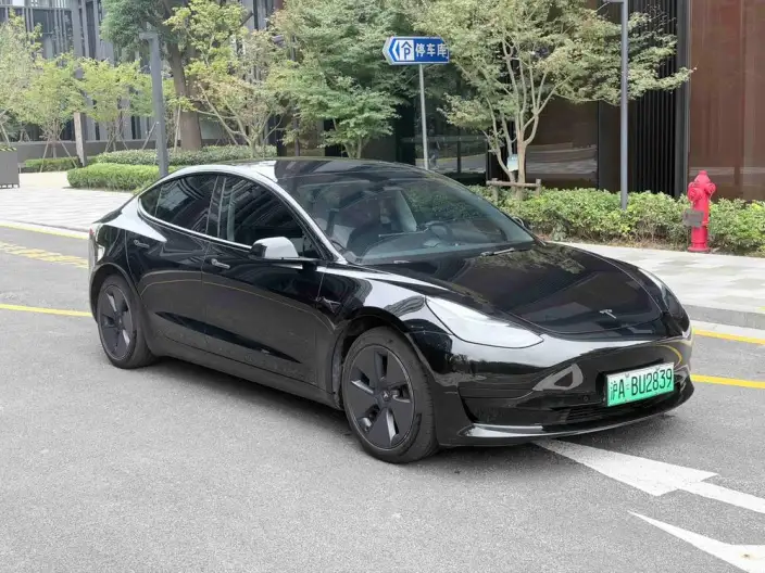 Model 3 2022 Model Rear-wheel drive version – фото 3