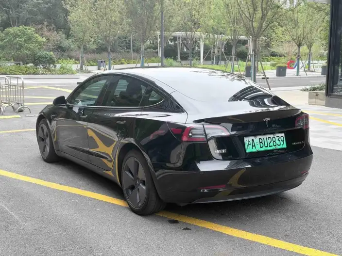 Model 3 2022 Model Rear-wheel drive version – фото 4