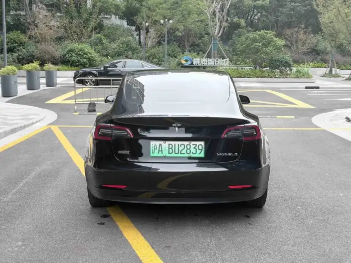 Model 3 2022 Model Rear-wheel drive version – фото 5