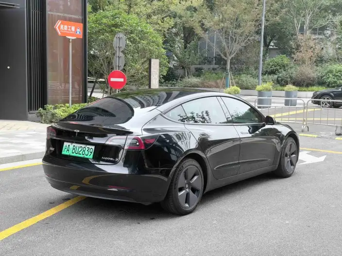 Model 3 2022 Model Rear-wheel drive version – фото 6