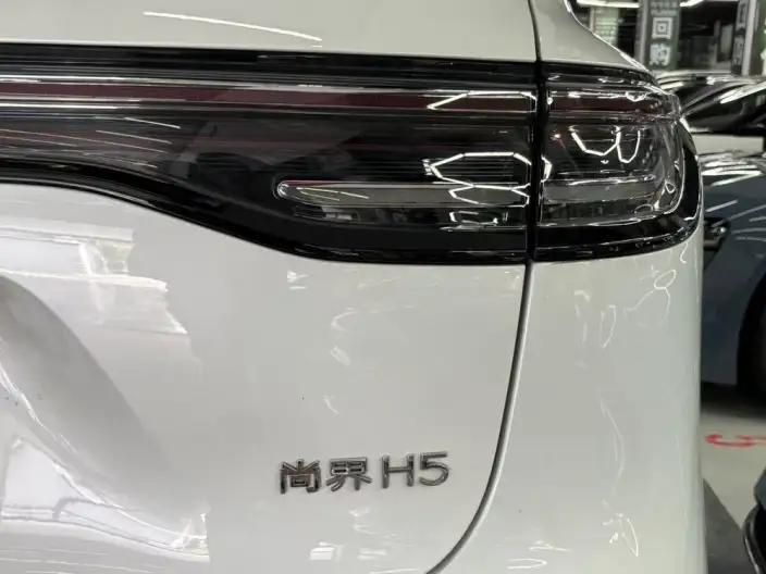 Sangyuan H5 2025 Model EV Max – фото 7