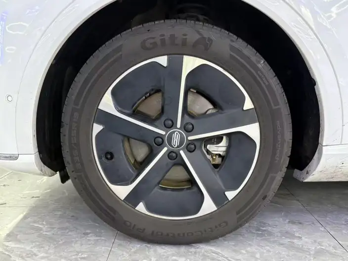 Sangyuan H5 2025 Model EV Max – фото 8