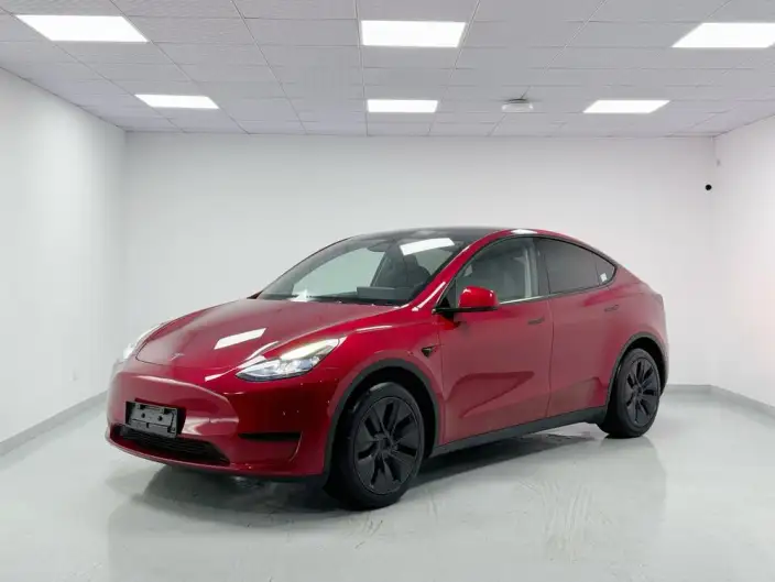 Model Y 2024 Model Rear-wheel drive version – фото 1