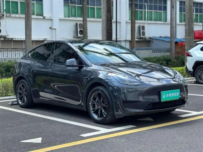 Model Y 2024 Model Rear-wheel drive version – фото 3