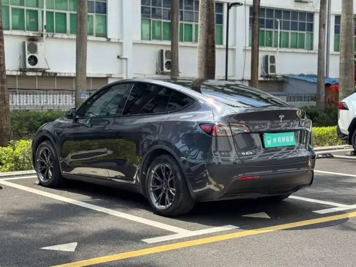 Model Y 2024 Model Rear-wheel drive version – фото 4