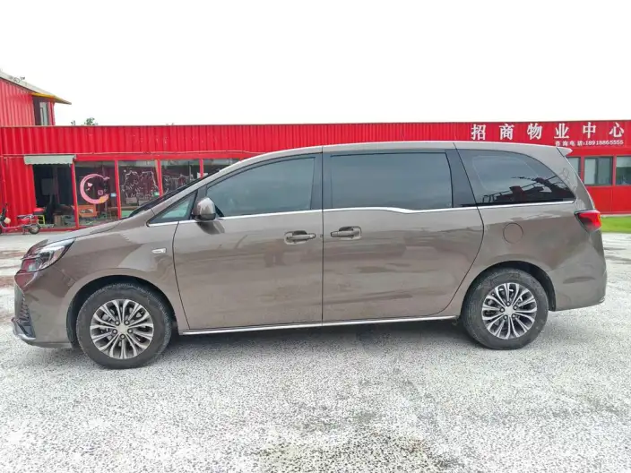 Buick GL8 2023 Model Business class 2.0T Comfort Model – фото 4
