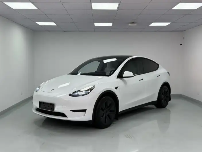 Model Y 2024 Model Rear-wheel drive version – фото 1