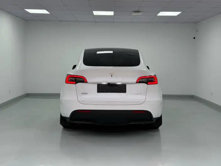 Model Y 2024 Model Rear-wheel drive version – фото 3