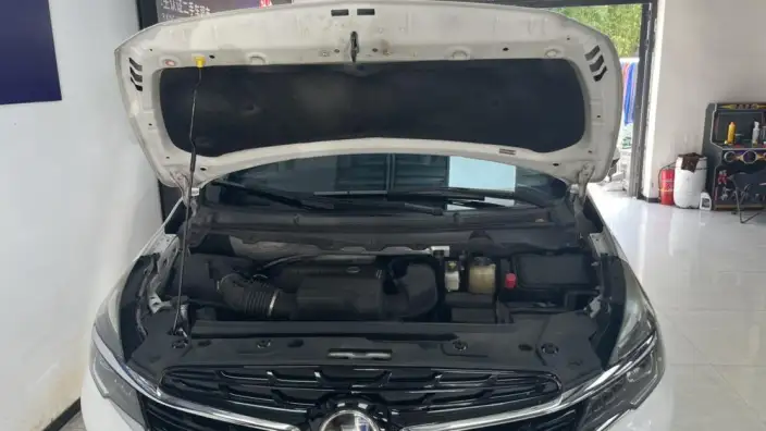 Buick GL8 2022 Model Facelift Business class 2.0T Smart Noble Model – фото 6