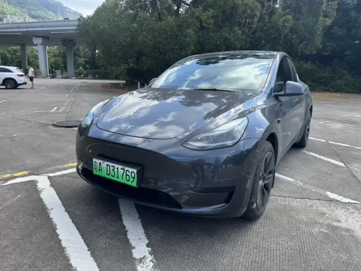 Model Y 2024 Model Rear-wheel drive version – фото 1